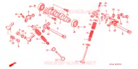NOKKENAS/KLEP voor Honda XR 250 L 1996