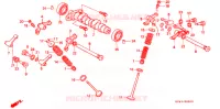 NOKKENAS/KLEP voor Honda XR 250 L 1996
