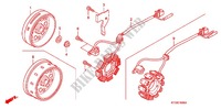 LINKS KRUKAS AFDEKKING/ GENERATOR(2) voor Honda CBF 125 M STUNNER Front brake disk 2010