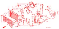 RADIATOR voor Honda CBR 600 F HURRICANE 1989