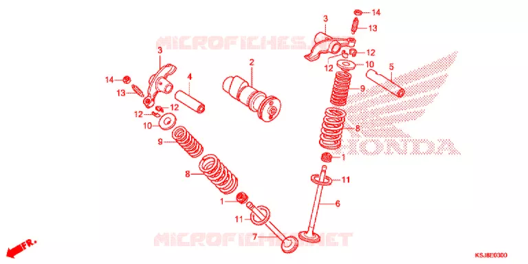 NOKKENAS/KLEP Honda MOTO 100 CRF 2012  CRF100FC