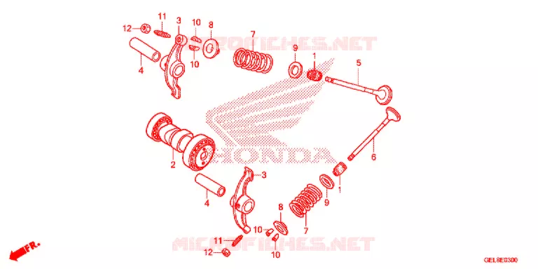 NOKKENAS/KLEP Honda MOTO 50 CRF 2013  CRF50FD