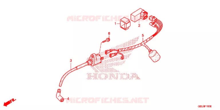 BEDRADINGSBUNDEL/ACCU Honda MOTO 50 CRF 2017  CRF50FH