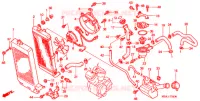 RADIATOR voor Honda SHADOW 750 1998