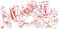 RADIATOR (VT750C/CA/C2/C2B/C2F/CS/C2S) voor Honda SHADOW VT 750 PHANTOM 2013
