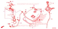 BRANDSTOF TANK  voor Honda SH 300 IS ABS 2017