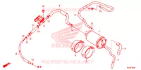 KOOLSTOFBUS   voor Honda SH 300 IS ABS 2017