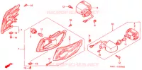KNIPPERLICHT(2) voor Honda WW 50 TOPIC FLEX 1995
