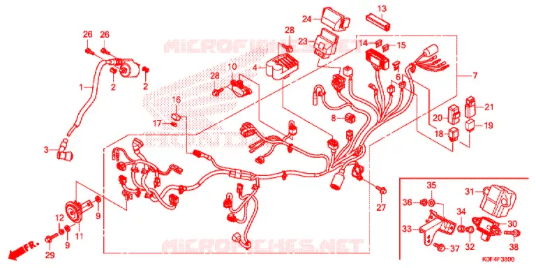 BEDRADINGSBUNDEL/ACCU Honda MOTO 125 MONKEY 2019  Z125MK
