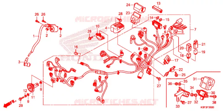 BEDRADINGSBUNDEL/ACCU Honda MOTO 125 MONKEY 2019  Z125MK