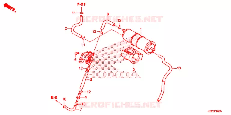 KOOLSTOFBUS Honda MOTO 125 MONKEY 2018  Z125MK