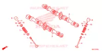NOKKENAS/KLEP voor Honda CB 1100 EX ABS 2017