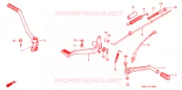 PEDAAL/KICKSTARTER ARM  voor Honda NS 50 F TYPE II 1989