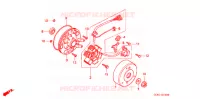 ALTERNATORE (C50L) voor Honda LITTLE CUB 50 2001