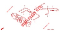GAS HUIS (SLANGEN) (X/Y) voor Honda CBR 600 F4 2001
