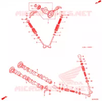 NOKKENAS/KLEP voor Honda FUSION 250 X Color order plan- SPECIAL 2003
