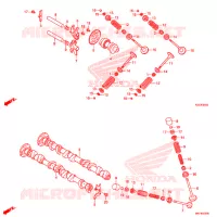 NOKKENAS/KLEP voor Honda SH 300 I ABS S 3E 2019