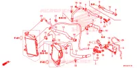 WATERSLANG voor Honda AFRICA TWIN 1000 LOWER 2019