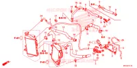 WATERSLANG voor Honda AFRICA TWIN 1000 DCT TRICOLOR 2019