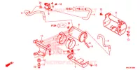KOOLSTOFBUS voor Honda REBEL 500 BOBBER 2019