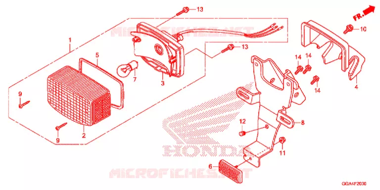 ACHTERLICHT/KENTEKEN LICHT Honda SCOOTER 50 RUCKUS 2019  NPS50K_A